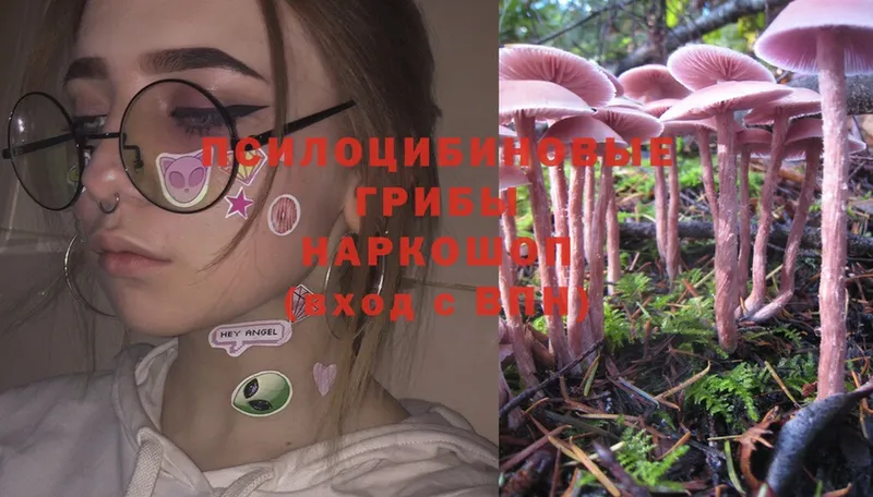 Галлюциногенные грибы Magic Shrooms  Унеча 